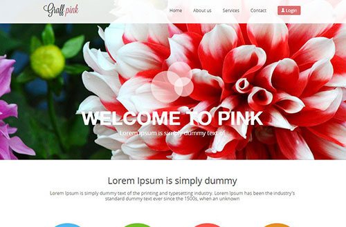 Cette image représente une vue de la page d'accueil du site fictif Graff Pink